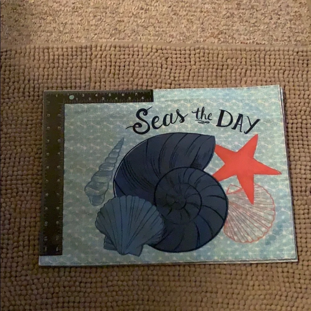 2 - “Seas the day” Placemats  Pre Owned